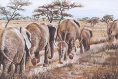 elephants walkin painting