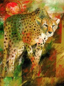 Cheetah hunting art and prints