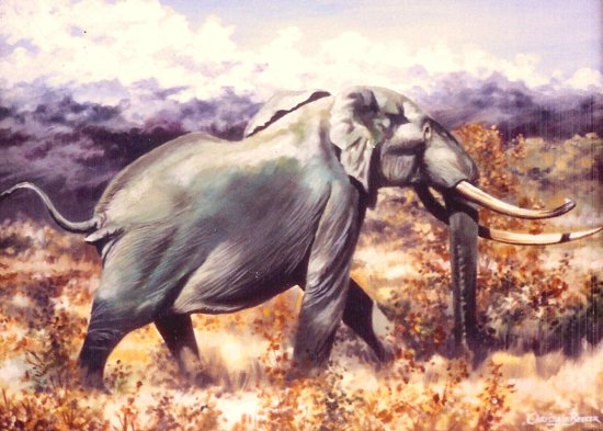 elephant bull painting