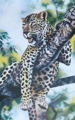 leopard in tree drawing