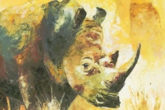 White Rhino painting
