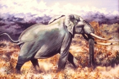 elephant bull painting