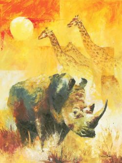 White Rhino Art Prints