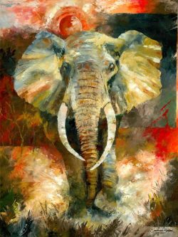 Charging African Elephant Painting